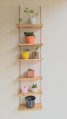 Flowers, Plants and Innovative shelves