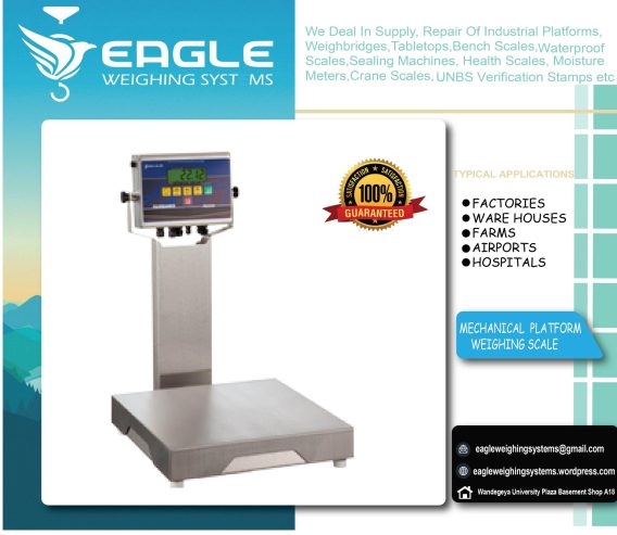 Digital platform weighing scales in Kamp