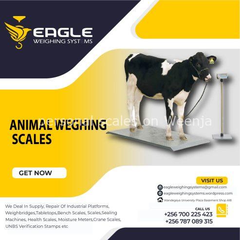 UNBS certified animal weighing scales in Uganda 0787089315