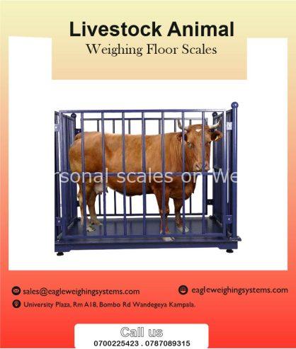 Electronic animal weighing scales in Uganda +256 700225423