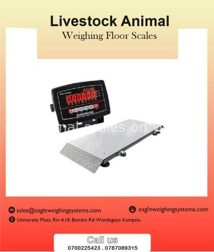 Livestock animal weighing scales in Uganda +256 787089315