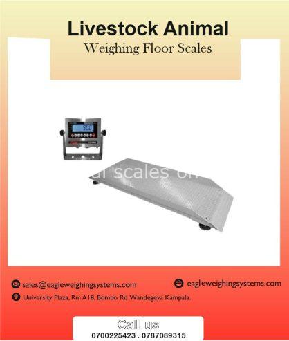 Weighing scales for animals in Uganda +256 700225423