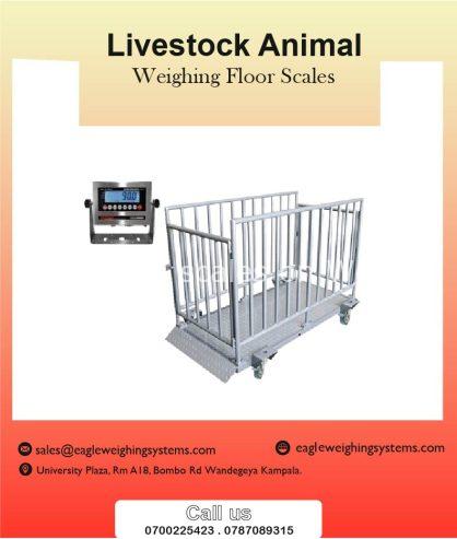 Livestock animal weighing scales in Uganda +256 787089315