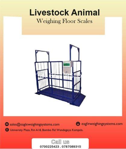 Weighing scales for animals in Uganda +256 700225423