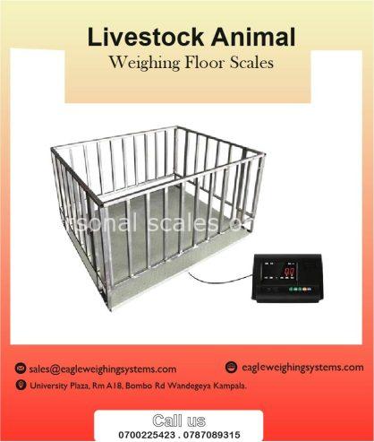 Electronic animal weighing scales in Uganda +256 700225423