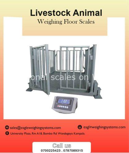 Weighing scales for animals in Uganda +256 700225423