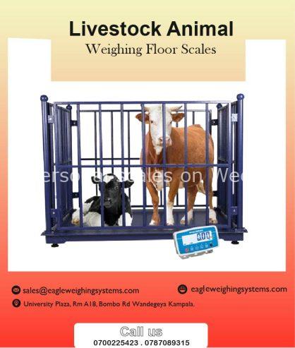 Electronic animal weighing scales in Uganda +256 700225423