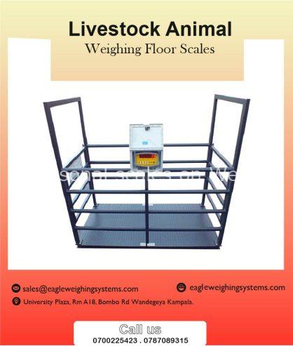 Weighing scales for animals in Uganda +256 700225423