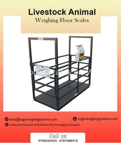 Livestock animal weighing scales in Uganda +256 787089315