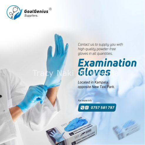 Powder free gloves for wholesale in Kampala Uganda